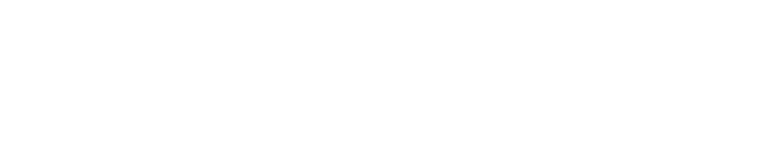 logo light